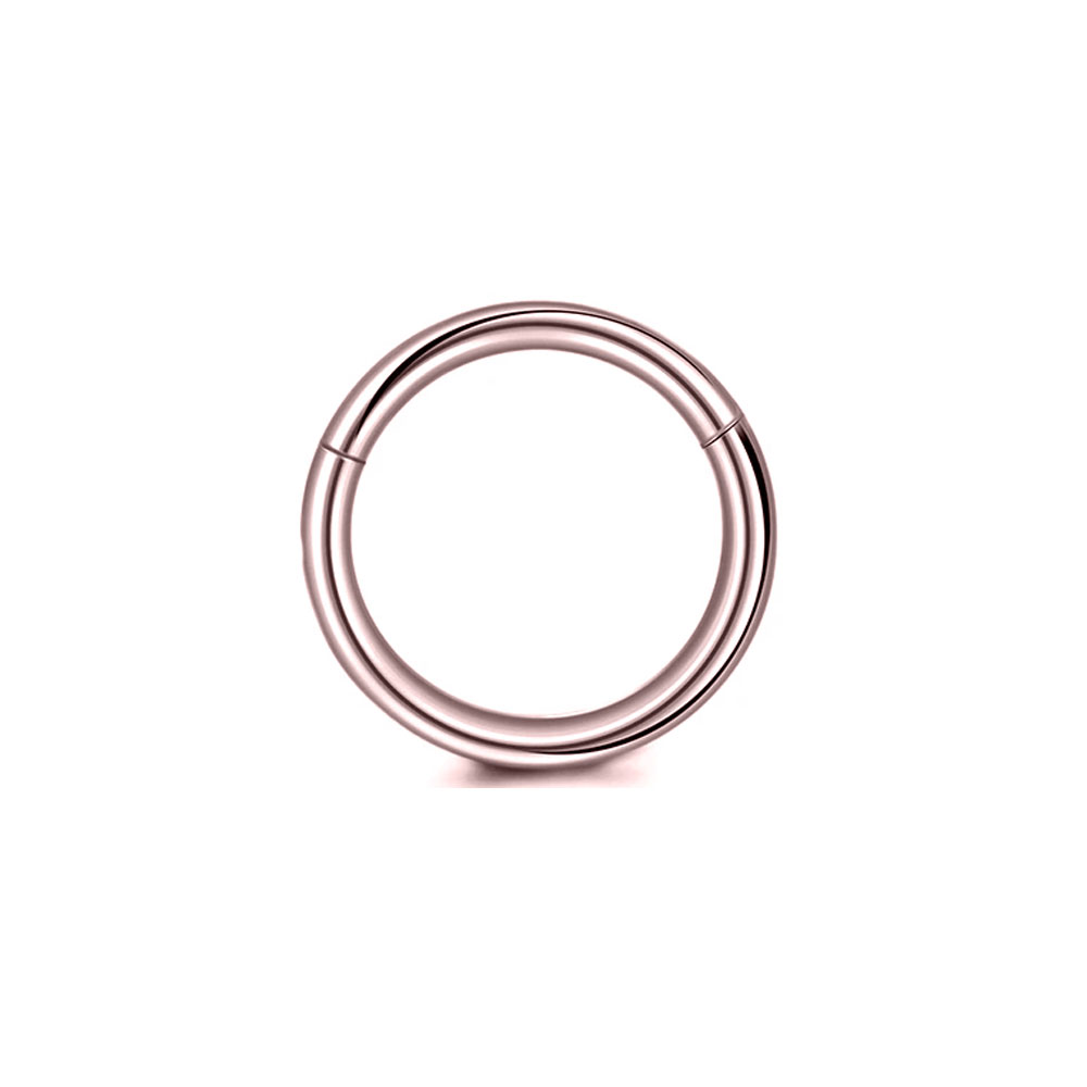 316L الجراحية الصلب الفرس الجز - مراجعة Septum Clicker Ring وسعره