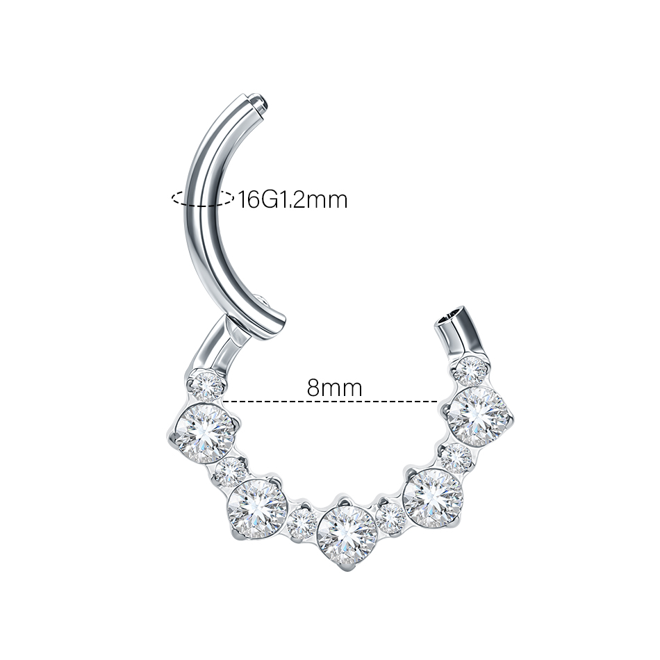 5 قطع من حلقات الأنف المصنوعة  - مراجعة Septum Clicker Ring وسعره