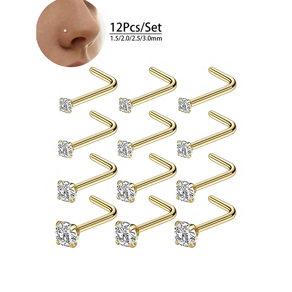 12 قطعة مجموعة كاملة 316L هيبو - مراجعة Body Jewelry Hoops وسعره